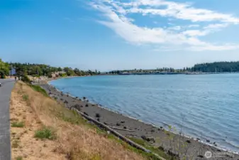 Quick Stroll to Marina