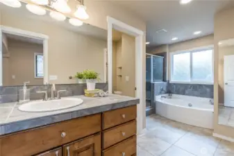 Well-appointed primary bath with soaking tub