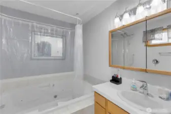 Primary bathroom with spa-like jacuzzi