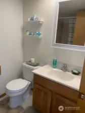 Full Downstairs Bathroom across from Bedroom 2 & 3