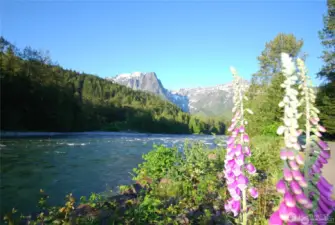 Skykomish river ~ enjoy swimming, fishing, whitewater activities, wildlife and photo ops.