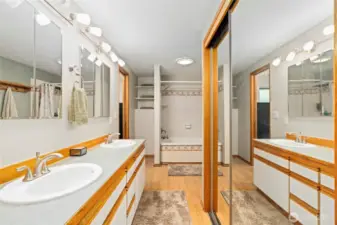 Downstairs/master bath