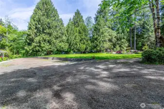 Another view of the lawn, this lot measures over 3.5 acres