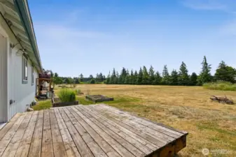 Backyard with Deck, Garden Boxes, and Tons of Potential!