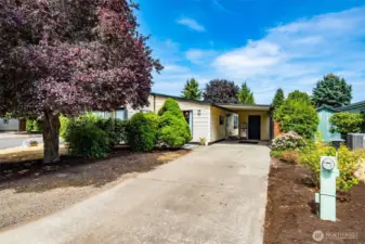 Easy maintenance front yard and paved driveway for added parking.