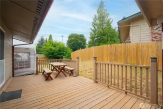 Back Deck