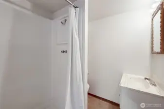 Lower level bathroom