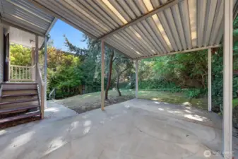 Patio and back yard