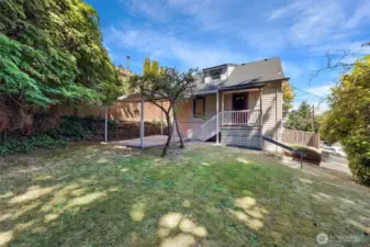 Back yard