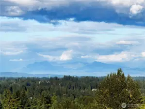 Cascade MT View