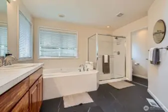 Another view of the primary bath.