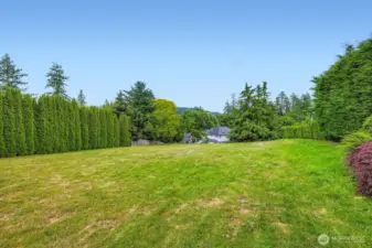 An expansive lot!