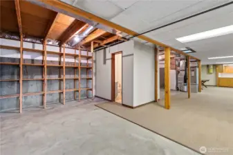 Shelving and multiple storage cabinets