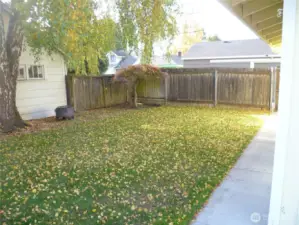 Fully fenced backyard