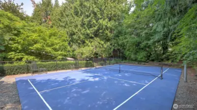 Private pro-grade pickleball court for endless outdoor fun.