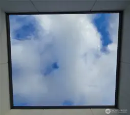 Kick back and watch the clouds roll by