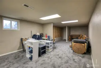 Bonus Room in Basement