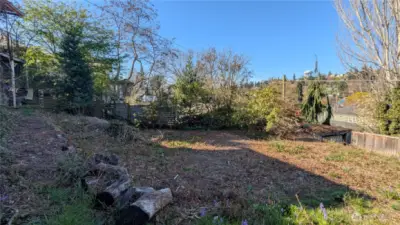 Gently sloping backyard