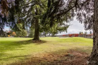 4th Fairway from back yard.