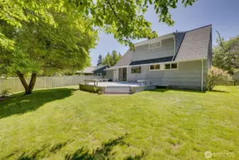 Big backyard