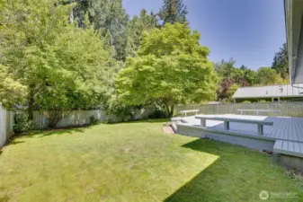 Sun filled backyard