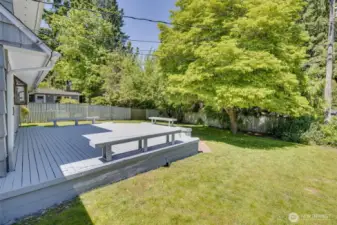 Party sized deck