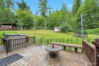 Backyard deck with chicken coop