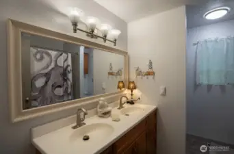main bath with new fixtures