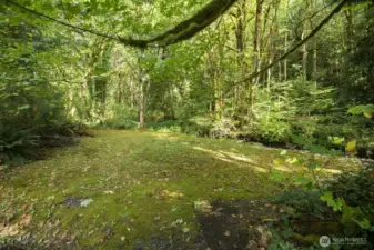 large yard next to creek maybe put a fire fit or gazebo here