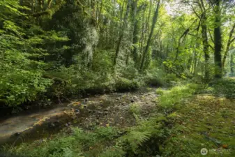 Leland creek