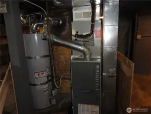 Gas water heater and furnace