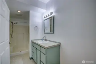 Downstairs bath with shower