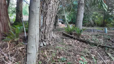 Power and corner stake are visible in picture.