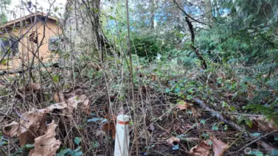 Another corner stake.