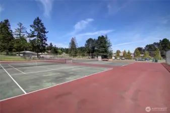 Shelter Bay Tennis Courts