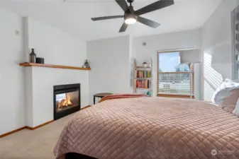 Primary bedroom with double sided fireplace