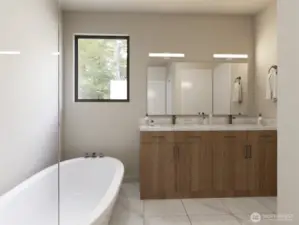 Scheme 3 Rendering (Incorrect Bathtub)