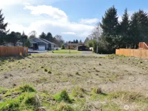 Looking towards the street from the back of where the pad was cut for the foundation.
