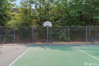 Basketball anyone???