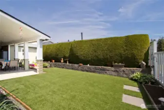 Another view of the back yard