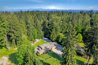 Total oasis with privacy on this 1+ acre lot.