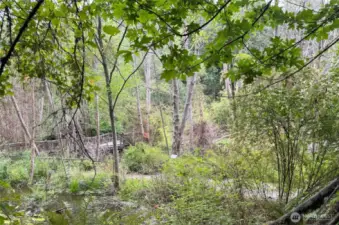 Nearby Carkeek Park with 6 Miles of Trails