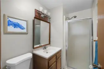 The lower level sports a 3rd bath - 3/4 bath.
