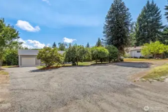 This area that's graveled along with the dirt off to the right of the monkey tail tree is on the property.