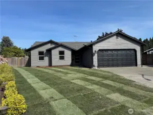 New sod in front yard.