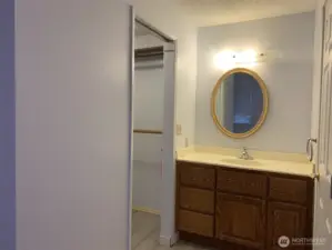 View of the primary bath.