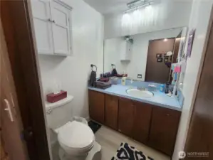 Guest bathroom
