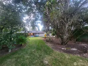Gently sloped back of property with lots of trees and fruit trees, bushes and flower