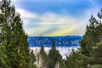 Filtered Lake Washington and Olympic Mountain views framed by evergreens. A peaceful outlook from the primary bedroom.
