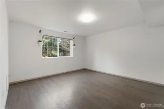 Downstairs family room